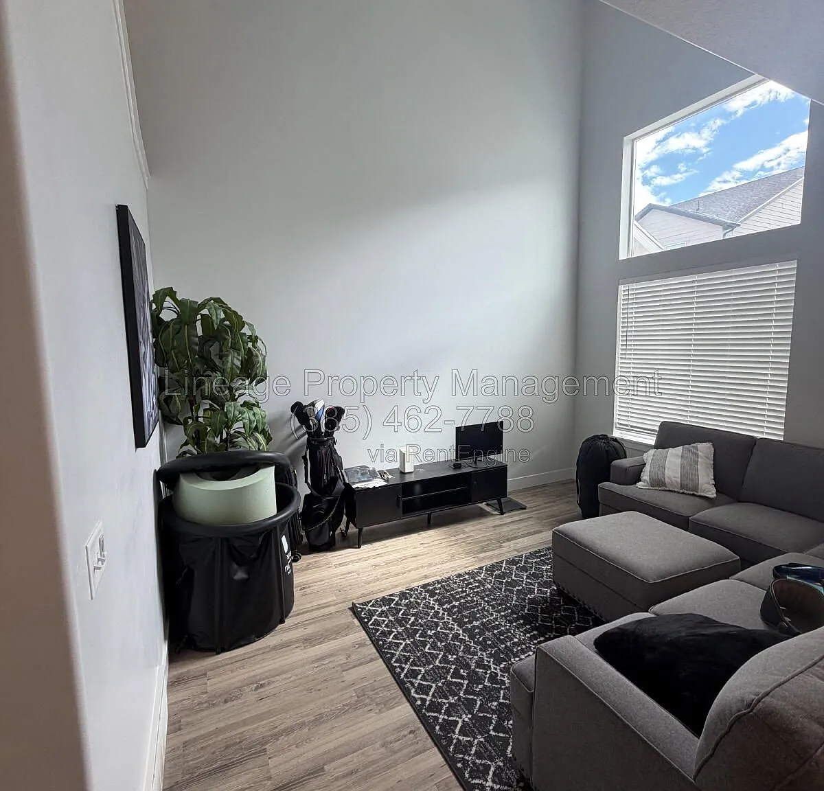 Studio, $625 — Photo 4