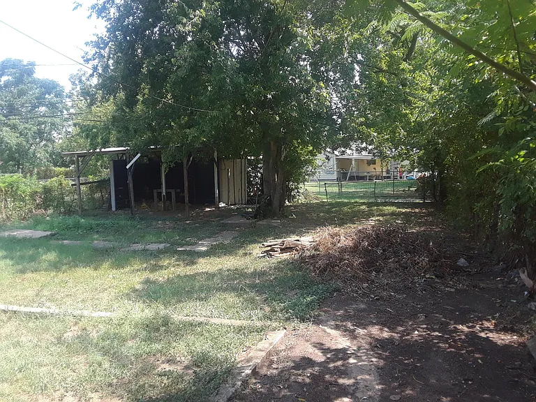 Back yard