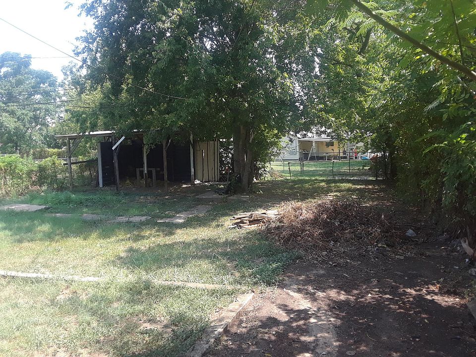Back yard