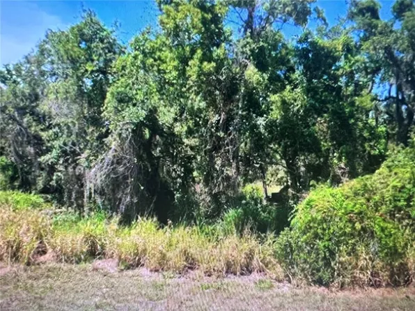 105 Jamison Ave Lot 10, Lake Placid, FL 33852
