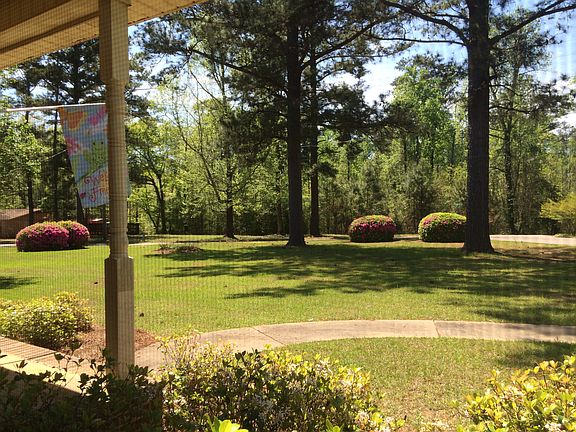 View from living room