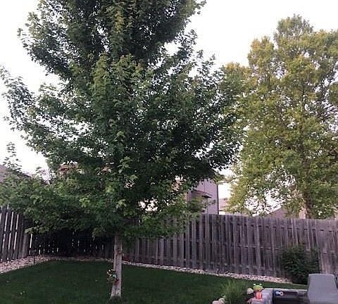 4th image of 567 S 184th St