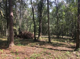 NE Northeast 120th Ave, Bronson, FL 32621