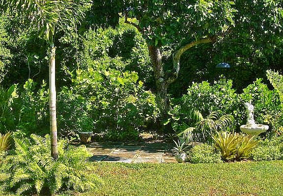 Garden Iola