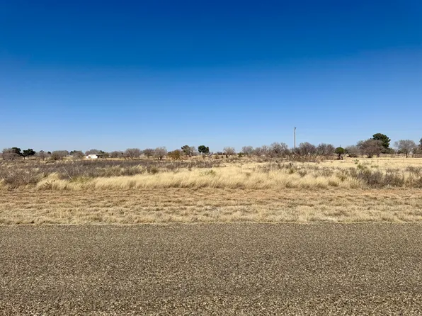 1549 Bennett Dr, Plains, TX 79355