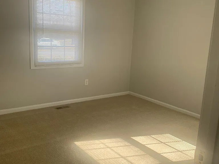 13217 Poplar Tree Rd — Photo 10