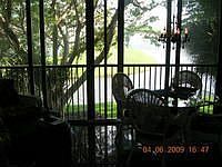 1st image of 2238 N Cypress Bend Dr APT 202