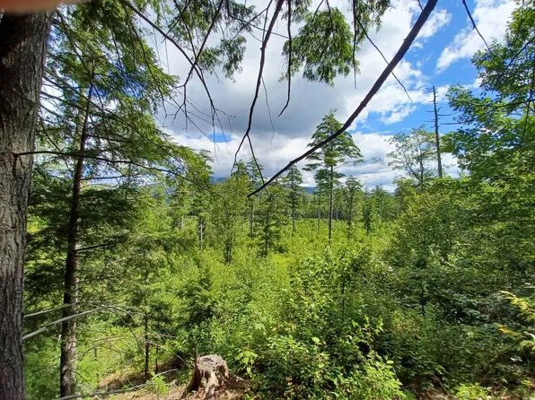 0 Route 25, Rumney, NH 03266