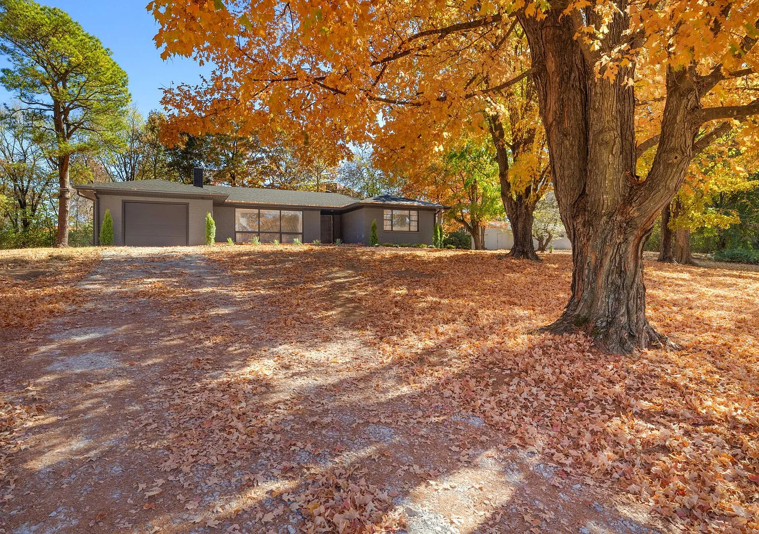 Updated Home with Spacious, Tree-Lined Yard for Rent! — Photo 3