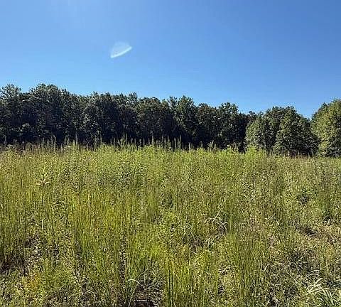 4th image of 11150 Blackberry Forest Way