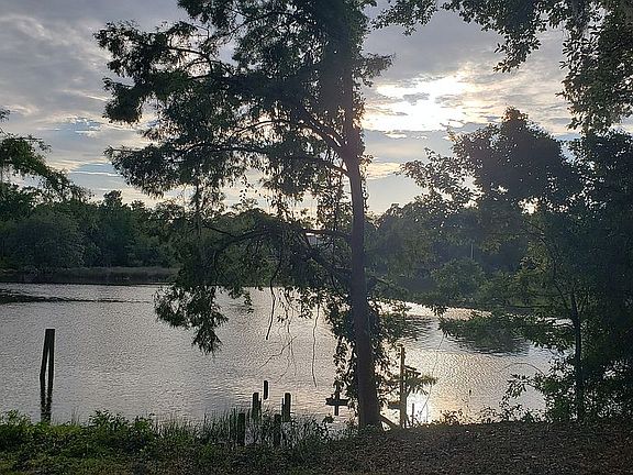The Creek at night