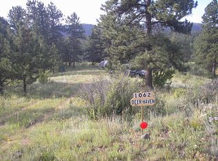 1062 Park Ridge Dr, Guffey, CO 80820