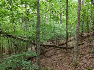 16 Morris Trl, Cleveland, GA 30528