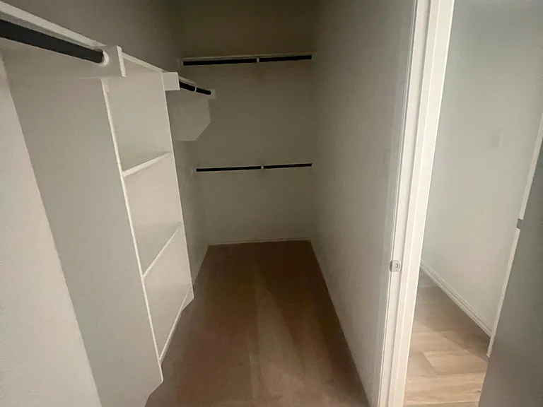 Master walk-in closet