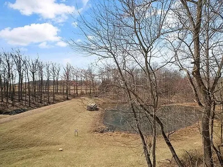 View from the deck