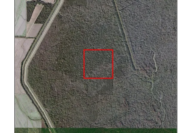 TRACT 5 S Levee Rd, Krotz Springs, LA 70750