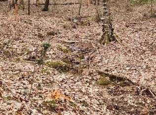 LOT 78 River Overlook Ln, Ellijay, GA 30540