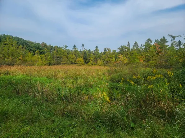 White Clover Rd, Manawa, WI 54949