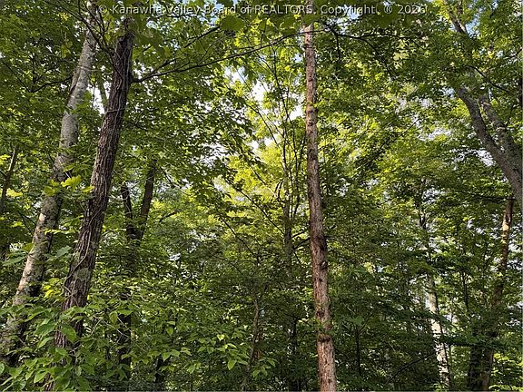4th image of 0 County Road 28