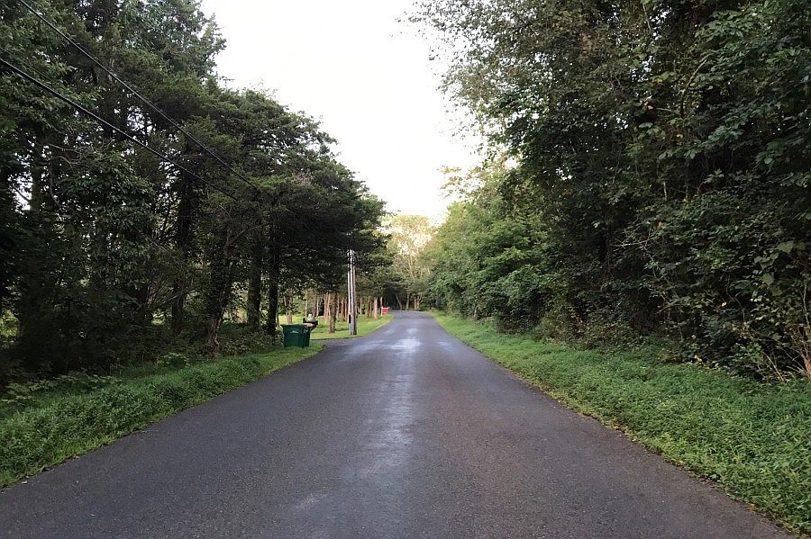 2nd image of 422 Hollow Horn Rd
