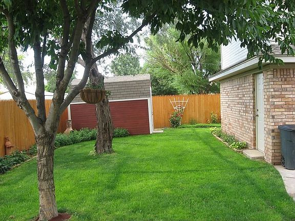Back Yard with New Sprinkler System and Shed