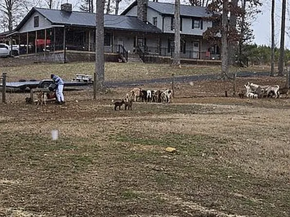 3488 State Highway 134 N, Star, NC 27356