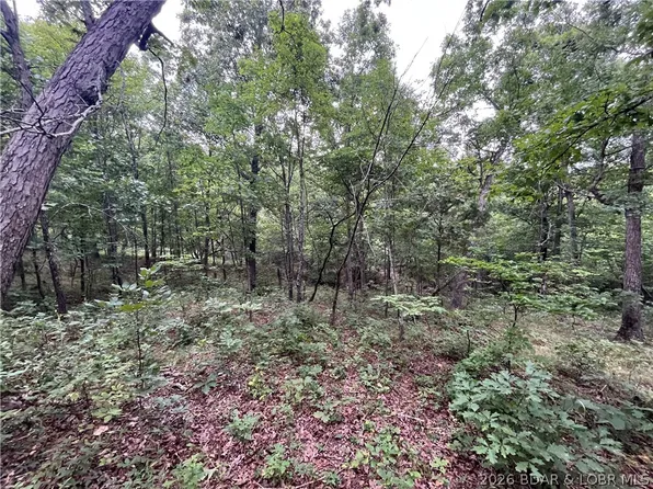 Patridge Dr, Climax Springs, MO 65324