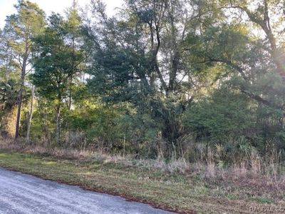 9567 N Cavewood Ave, Crystal River, FL, 34428