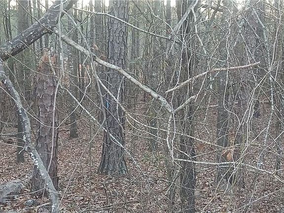 4th image of 120 Harville Rd