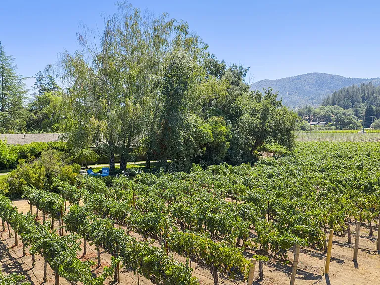 1819 Zinfandel Ln — Photo 75