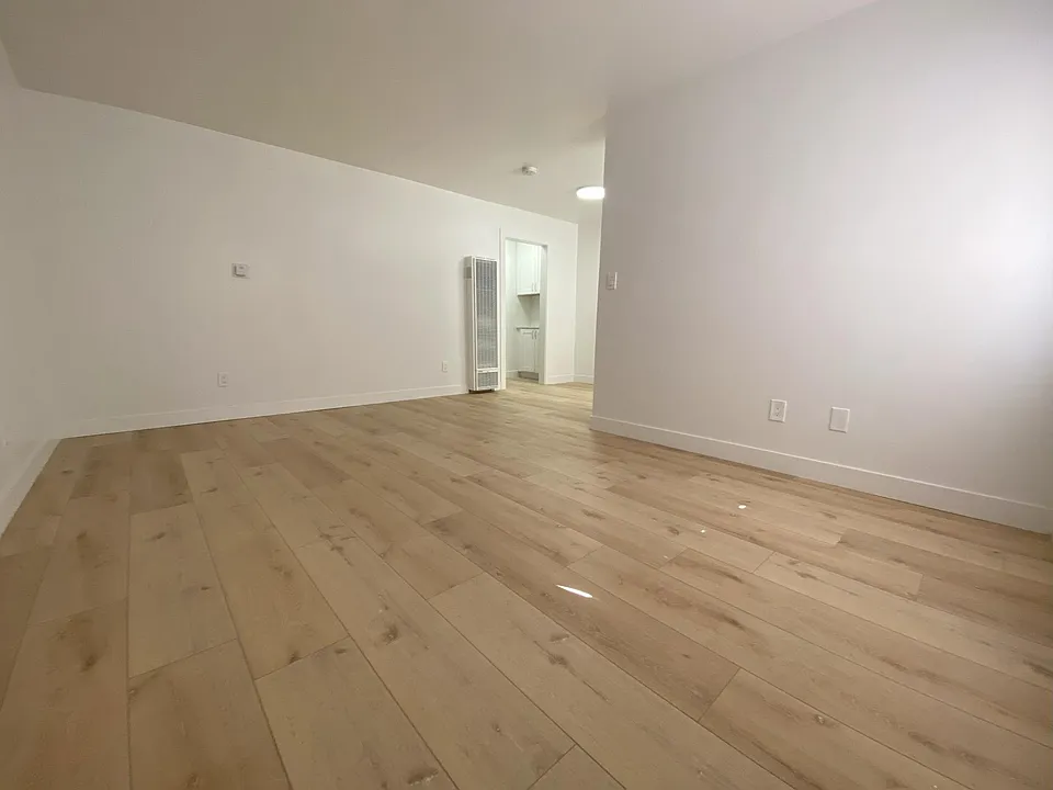 Entry area/living room