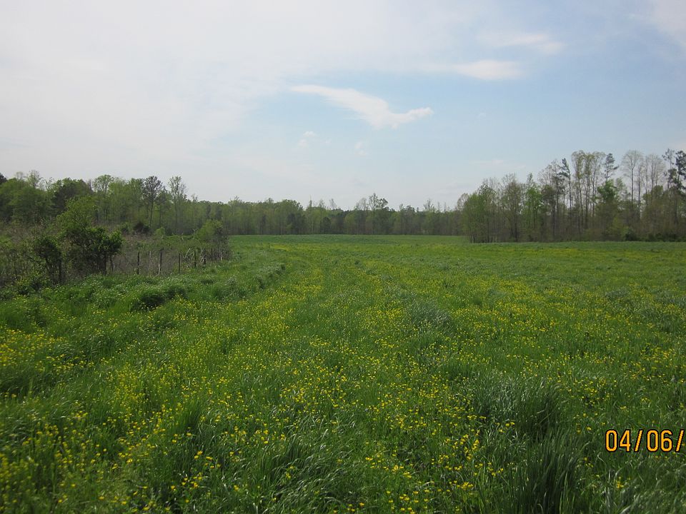 Field