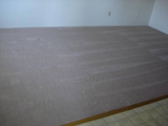 Alternate View of Living