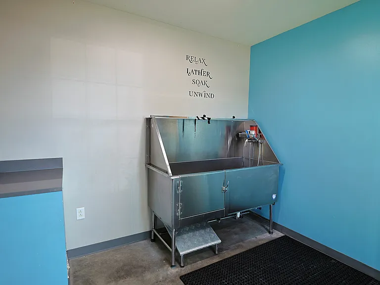 Your four-legged roommates get the VIP treatment too, thanks to a pet spa with a full wash station right onsite.