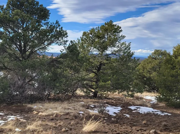 7206 N Pinon Pine St, Williams, AZ 86046