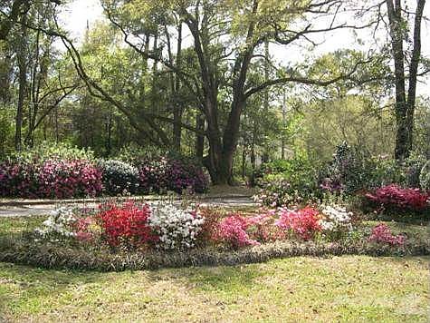 Front yard area