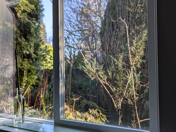 View out of the Queen bedroom window ...