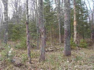 Net River Rd, Crystal falls, MI 49920