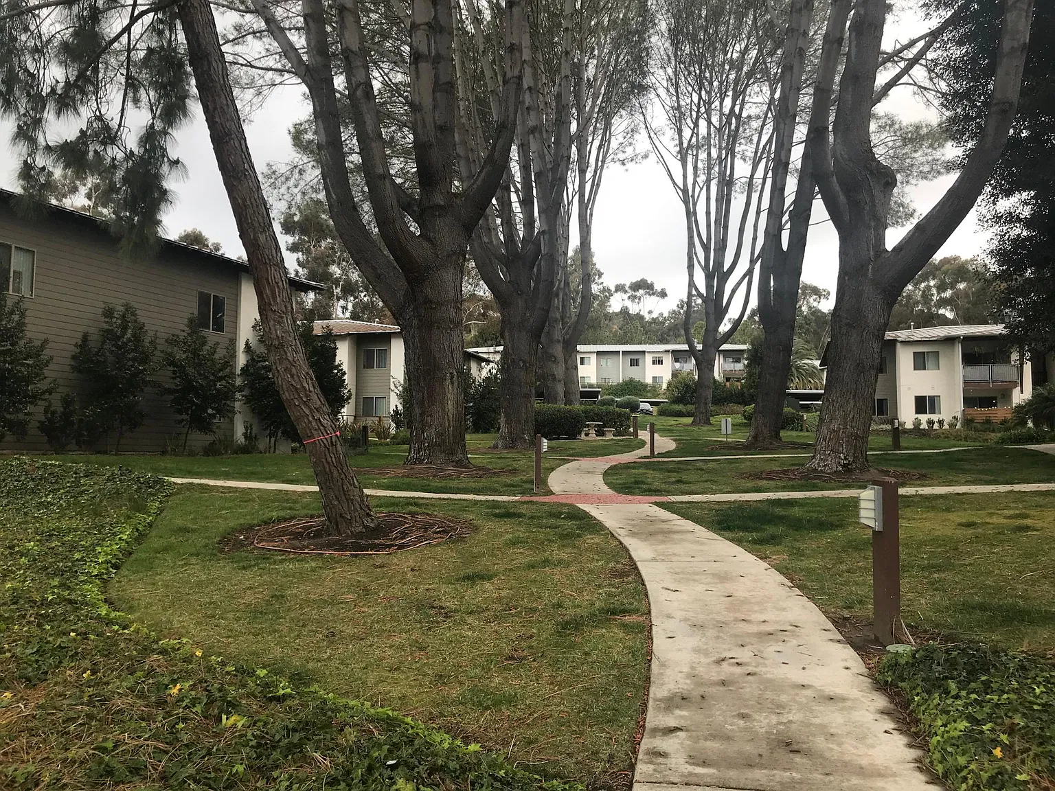 2 bed, 810 sqft, $3,200 — Photo 2