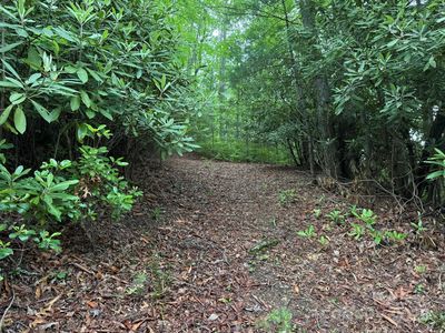 Blueberry Trl #14, Lake Toxaway, NC, 28747