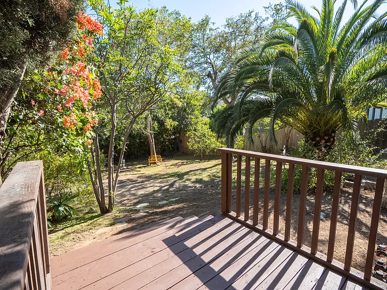 Backyard deck and steps