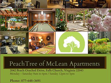 peach tree apartments falls church