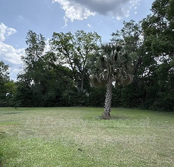 420 Magnolia St — Photo 10