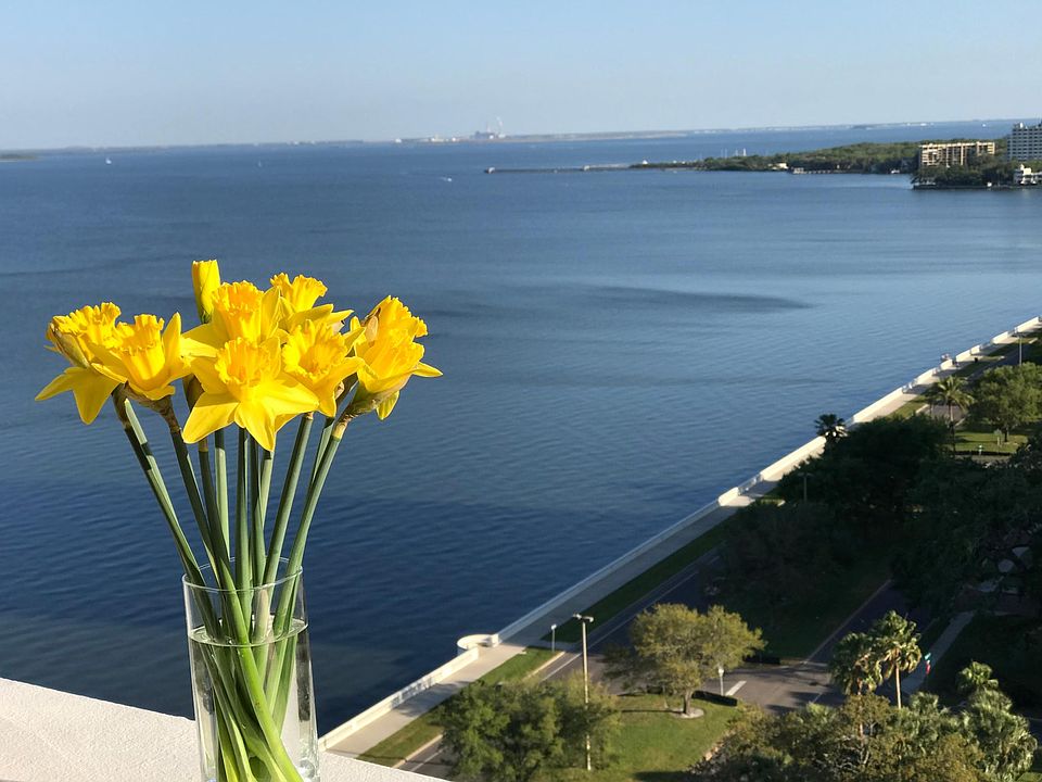1st image of 4015 Bayshore Blvd APT 16E