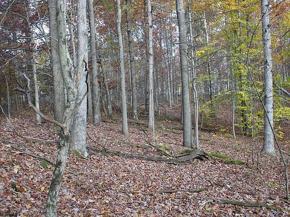 5th image of LOT 7 Cascade Rd