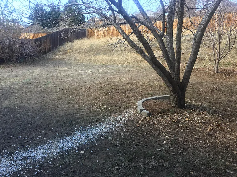 Large Backyard