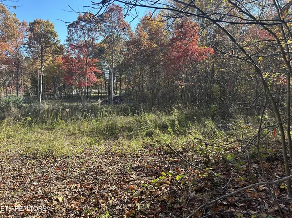 1665 Hollis Poore Rd Lot 1 & 2, Jamestown, TN 38556