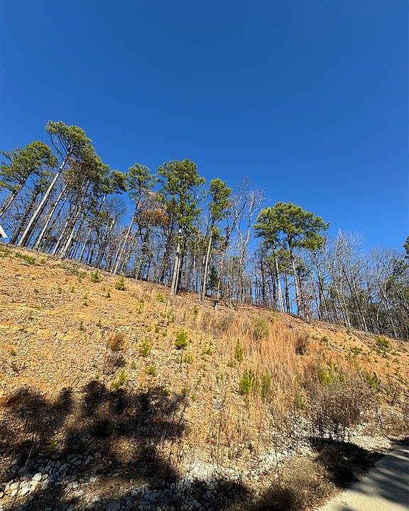1st image of 253 Western Pine Trail