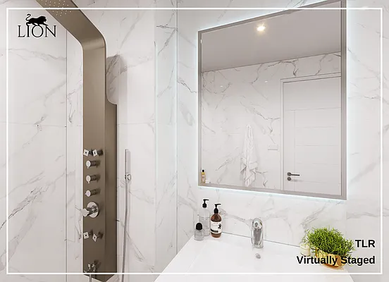 Rented by The Lion Real Estate | media 31