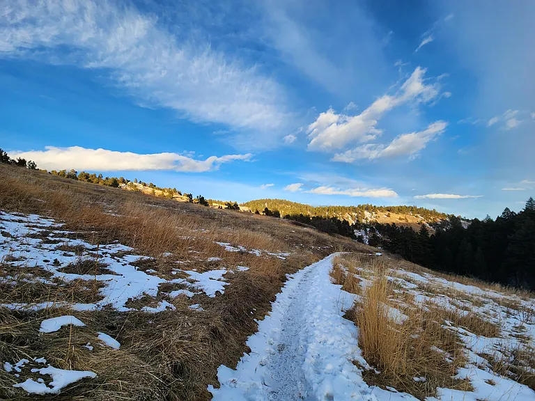 There are many wonderful hiking trails within a 5-minute drive. This is Apex Park. We also love Beaver Brook!